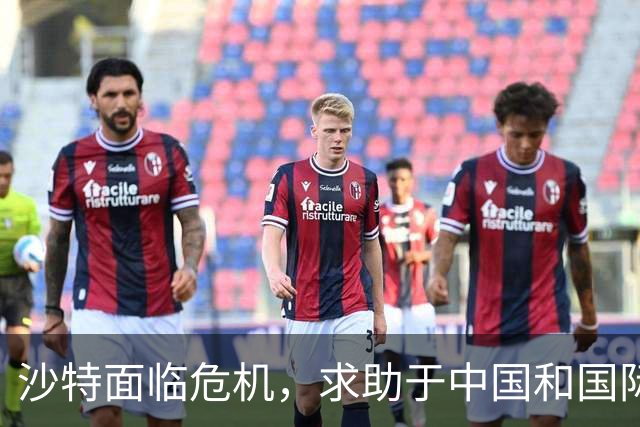 沙特面临危机，求助于中国和国际社会的反应愈发复杂