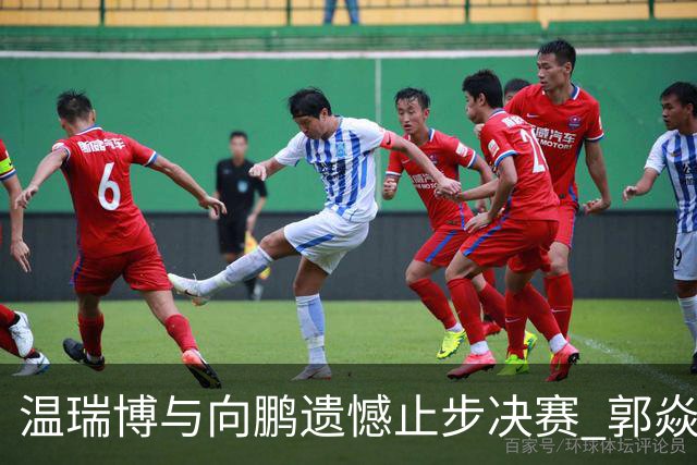温瑞博与向鹏遗憾止步决赛 郭焱点评直击要害