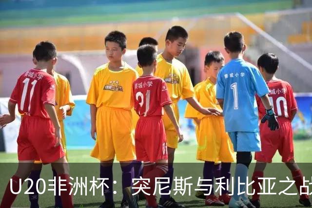 U20非洲杯：突尼斯与利比亚之战，利比亚反击被判越位